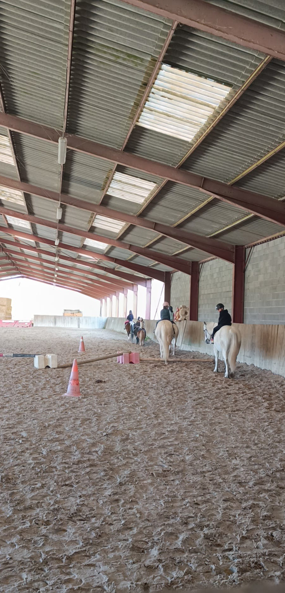 cours d'équitation poneys mains gauche